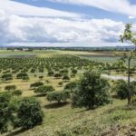 Facial treatment in the heart of the truffle fields - The Heritage and Education Component