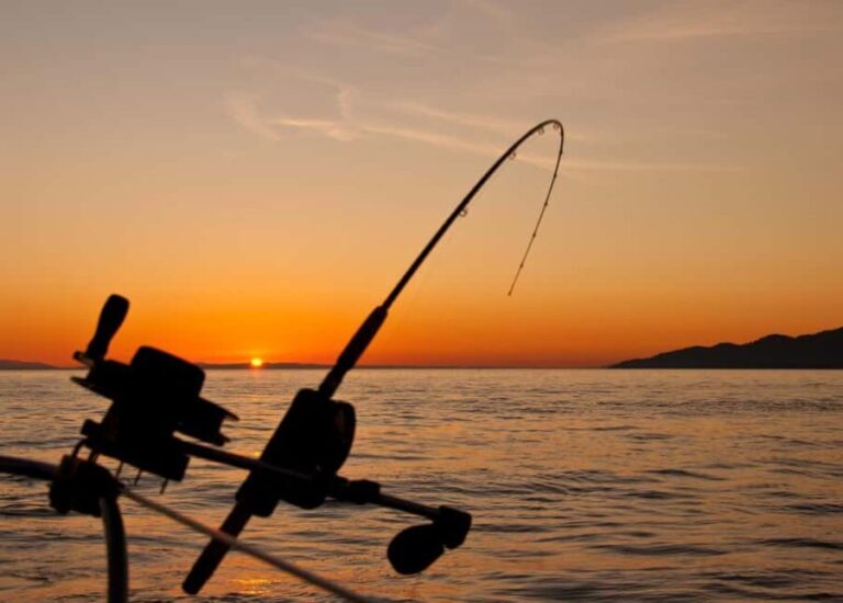 Fairbanks: Half-Day Fishing Trip with Hotel Pickup - Why This Tour Offers Good Value