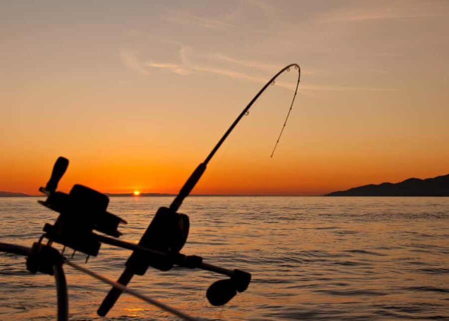 Fairbanks: Half-Day Fishing Trip with Hotel Pickup - Why This Tour Offers Good Value
