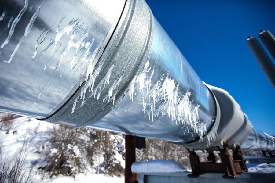 Fairbanks Heritage Sightseeing Tour - The Experience Through the Lens of Reviews