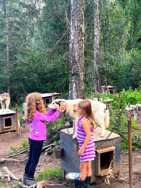 Fairbanks: Husky Hiking Tour - Practical Details and What to Expect