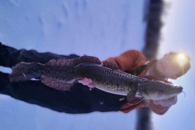 Fairbanks Ice Fishing with Transportation - What to Expect: The Day on the Ice