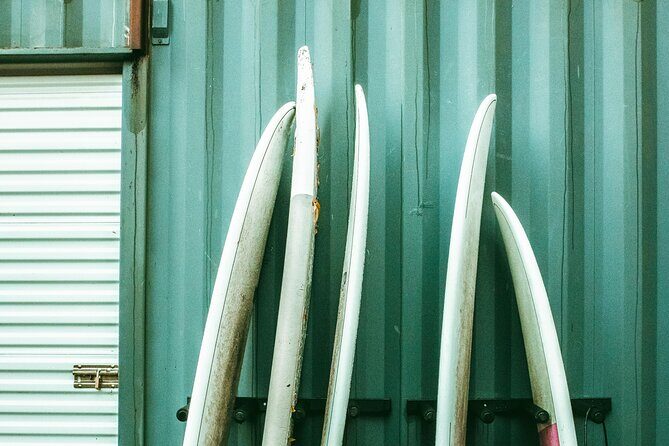 Fall Adventure Vancouver Island Grizzly Bears, High Tea and More - Who Should Consider This Tour?