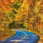 Fall Foliage Tour - Value for Money