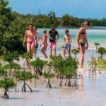 Fall in love with the Holbox island tour, Punta Mosquito & lunch. - What’s Included and What’s Not