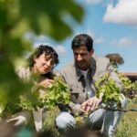 Familia Torres Winery: Gastronomic Tapas & Wine Experience - Possible Drawbacks to Consider