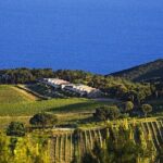 Family E-Bike Tour in the Costa dei Gabbiani Nature Reserve - The Ride Begins at Tenuta delle Ripalte