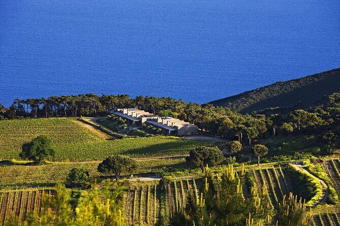 Family E-Bike Tour in the Costa dei Gabbiani Nature Reserve - The Ride Begins at Tenuta delle Ripalte