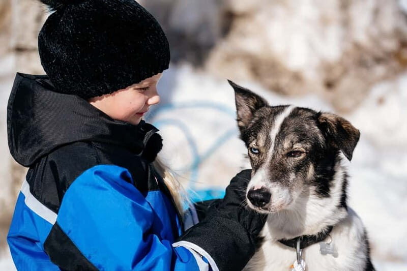 Family Snow Fun with Huskies, Reindeer, Mini Scooters, Lunch - What Reviewers Say