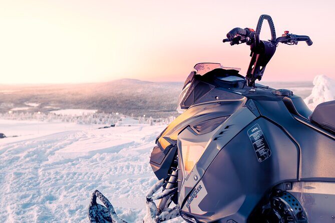 Family Snowmobile Safari in Rovaniemi - Who Is This Tour Best For?