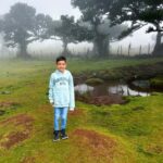 Family tour Madeira Island - What Makes This Tour Stand Out?