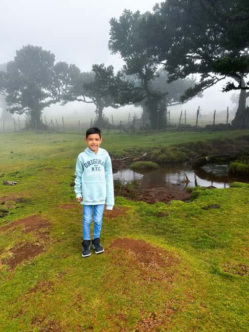 Family tour Madeira Island - What Makes This Tour Stand Out?