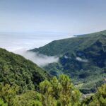 Fanal Forest Walk & Meal - Final Thoughts