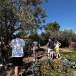 Farm to Table Cooking Experience in San Miguel - Who Should Book This Tour?