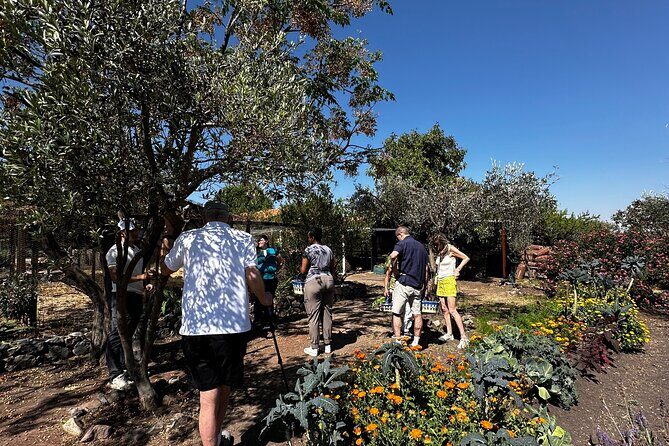 Farm to Table Cooking Experience in San Miguel - Who Should Book This Tour?