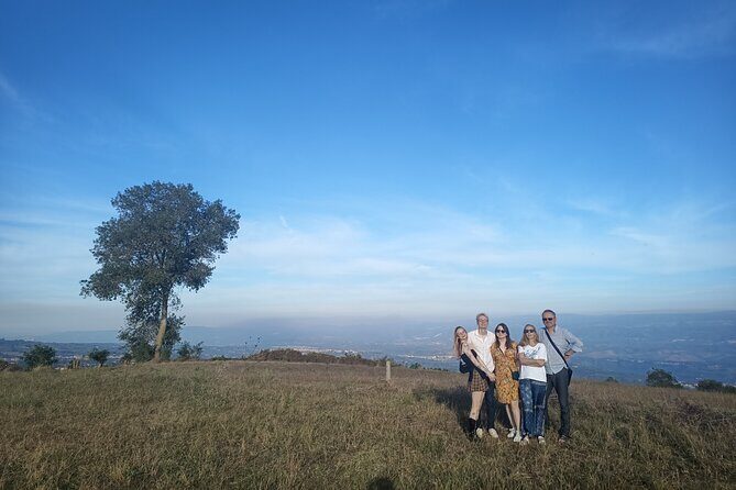 Farm-to-table Food Experience - Who Will Love This Tour?