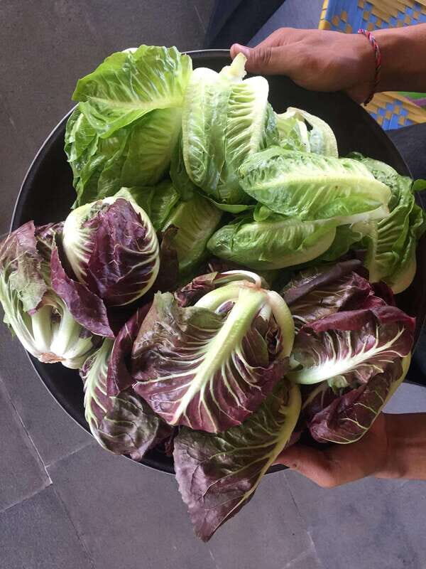 Farmer's Market + Street Food Walking Tour - Chef Curated - Why This Tour Offers Great Value