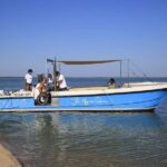 Faro: Full Day Private Charter at The Ria Formosa - What to Bring