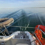 Faro: Half Day Private Tour in Ria Formosa Natural Park - Why This Tour Works for Different Travelers