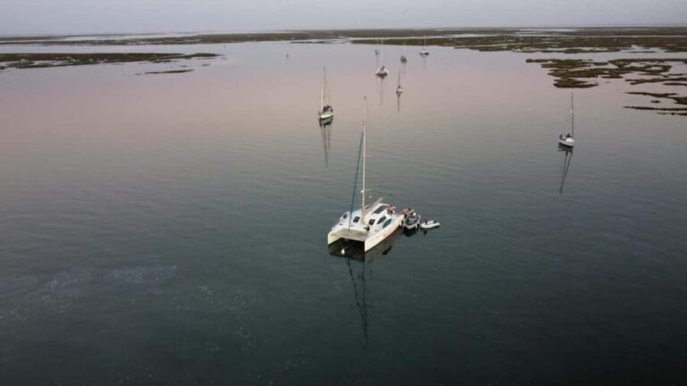 Faro: Private Boat Tour with Oyster Tasting and Sunset - Practical Details and Tips