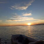Faro: Sunset 1 hour Ria Formosa Boat Tour - Why Choose This Tour?
