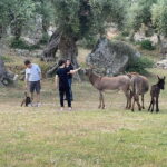 Fasano: e-bike tour to discover the wonders of the area - What’s Included and What to Expect