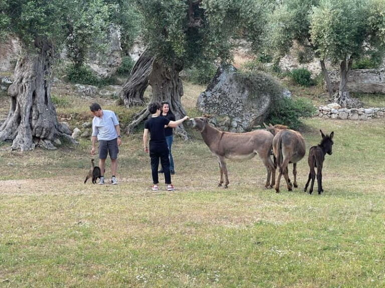 Fasano: e-bike tour to discover the wonders of the area - What’s Included and What to Expect