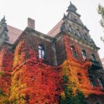 Fascinating Highlights of Wroclaw - Walking Tour - Ostrow Tumski: The Heart of Wroclaw’s Heritage