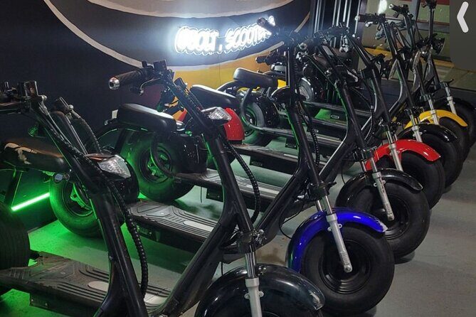 Fat Tire 2 Seater Rental in Houston - What Makes This Tour Stand Out