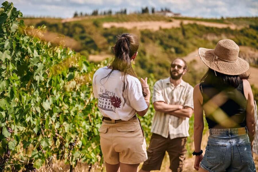 Fattoria La Leccia, Monterspertoli: vineyard walk & tasting - Practical Details and Considerations