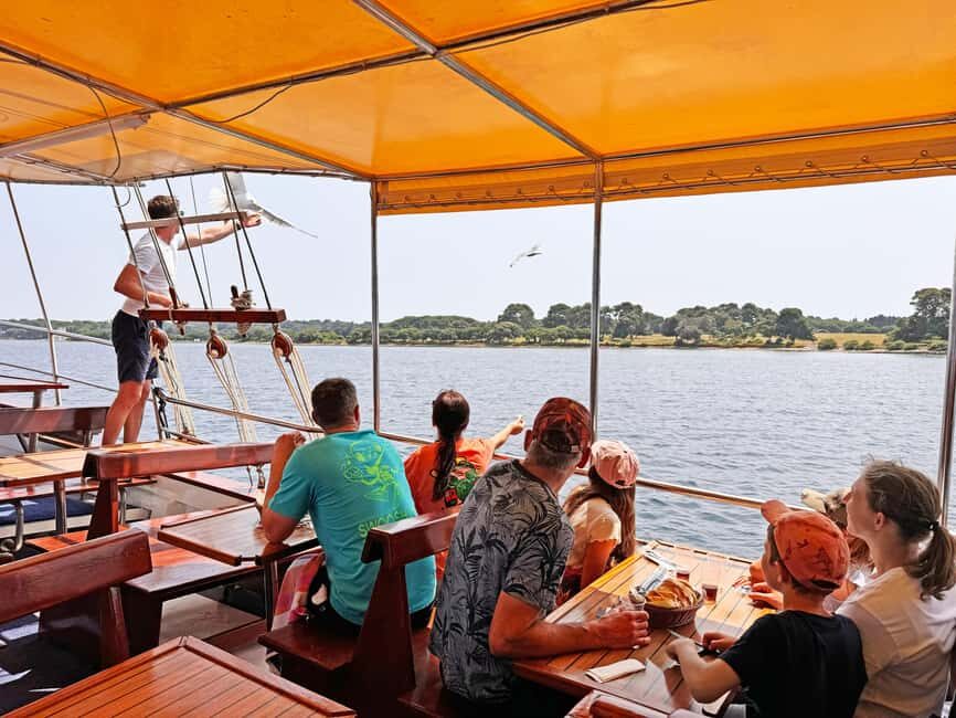 Fazana: Eco Friendly Brijuni Dolphins with Dinner & Drinks - Who Is This Tour Best For?  