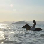 Fethiye Horse Riding in the Sea, Botanical Forest, Beach and Coastal Horseback Riding - What Makes This Tour Special