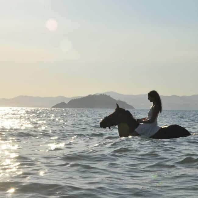 Fethiye Horse Riding in the Sea, Botanical Forest, Beach and Coastal Horseback Riding - What Makes This Tour Special