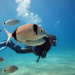 Fethiye Scuba Diving Tour: Free Shuttle Service - Lunch Included - Frequently Asked Questions