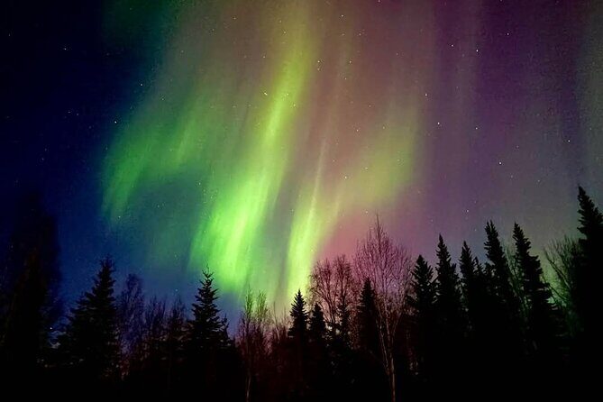 Fire & Ice: Chena Hot Springs, Ice Museum + Aurora Adventure - Authentic Experiences from the Reviews