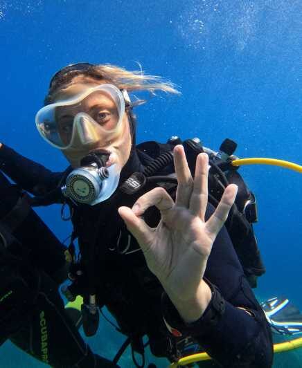 First Scuba Diving Experience in Calvi (From 8 yo) - The Itinerary: Step-By-Step Breakdown