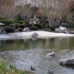 Five Hour Garden Tour - The Sum Up