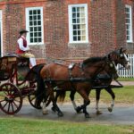 Flavors & Footsteps: A Private Culinary Walk in Williamsburg - The Itinerary: What You Can Expect