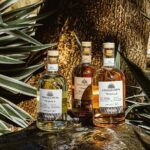 Flavors of Vallarta: A Churro, Tequila & Taco Adventure - The Sum Up