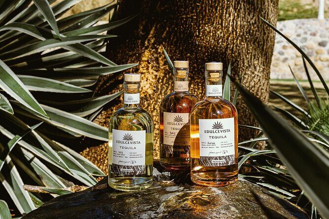 Flavors of Vallarta: A Churro, Tequila & Taco Adventure - The Sum Up