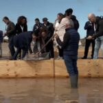 Fleur de Sel Experience - Exploring the Fleur de Sel Experience in Detail