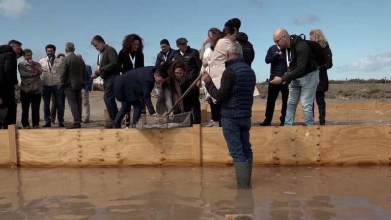 Fleur de Sel Experience - Exploring the Fleur de Sel Experience in Detail