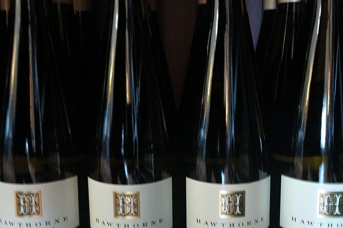 FLEXIBLE Go where you want NON-BUS Old Mission Wine Tour - The Sum Up