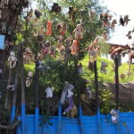 "Floating Party in Xochimilco: Canals, Tequila, and Tradition" - The Itinerary in Detail