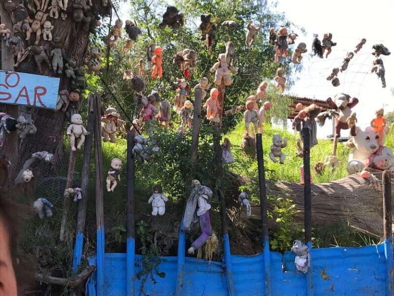 "Floating Party in Xochimilco: Canals, Tequila, and Tradition" - The Itinerary in Detail