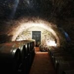 Florence like a local wine teasting - The Vintage Car Experience: Style Meets Sustainability