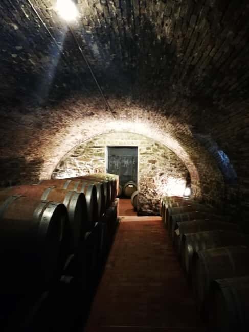 Florence like a local wine teasting - The Vintage Car Experience: Style Meets Sustainability