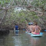 Florida Keys: Full-Day Kayak + Snorkel Coral Reef Adventure - What This Tour Means for You