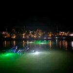 Florida: Sharkey's Guided Fish Feeding LED Night Tour - What To Expect During the Tour
