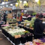 Flower District Tour - What to Expect During the Tour